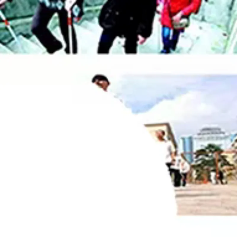 

1/2/3 Pcs Rolling Ball Cane Tip Rolling Ball Hook Cane Tip Hook Type Cane Tip Replacement Accessory For Blind Walking Stick