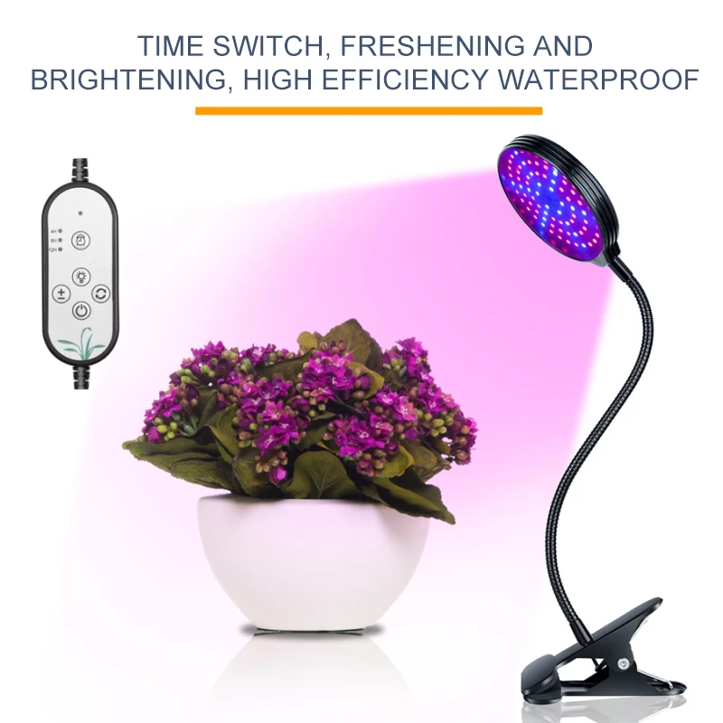 Led Grow Light Easy To Use Multi-functional Hydroponics Enhanced Photosynthesis Desktop Plant Light With Timer Full Spectrum