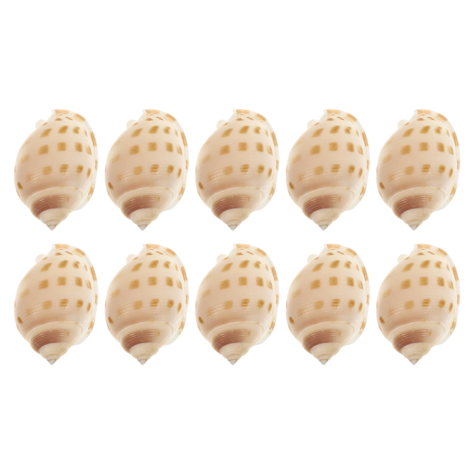 

10pcs Conch Shell Specimen Natural Seashells Aquarium Decoration Large Conchs Ornament Micro Landscaping Pet Supplies Fish Tank