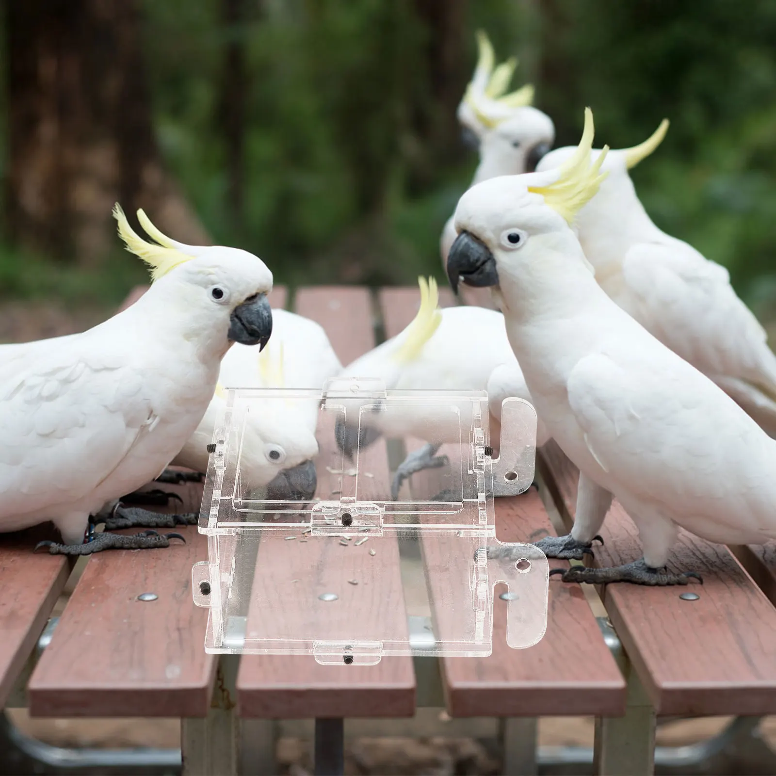 

Splash Proof Food Box Double Tier Bird Cage Feeder Acrylic Pet Container Large Capacity Parrot Food Holder Smooth Surface Safe