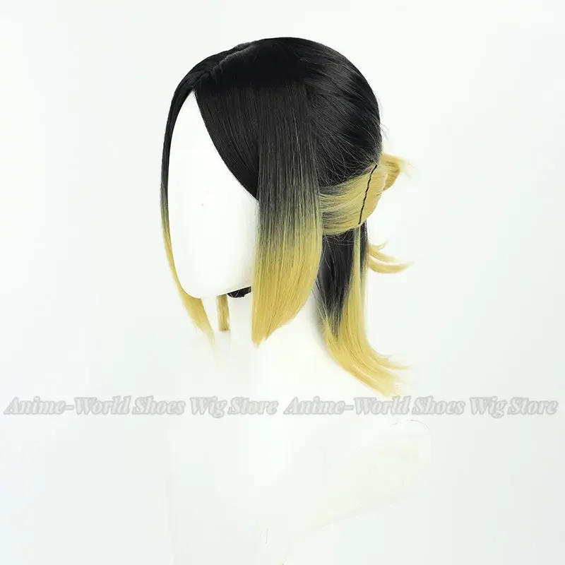 Anime! ! Perruque de Cosplay synthétique Haikiyu pour femmes, perruque de 40cm de Long, simulée du cuir chevelu, résistante à la chaleur