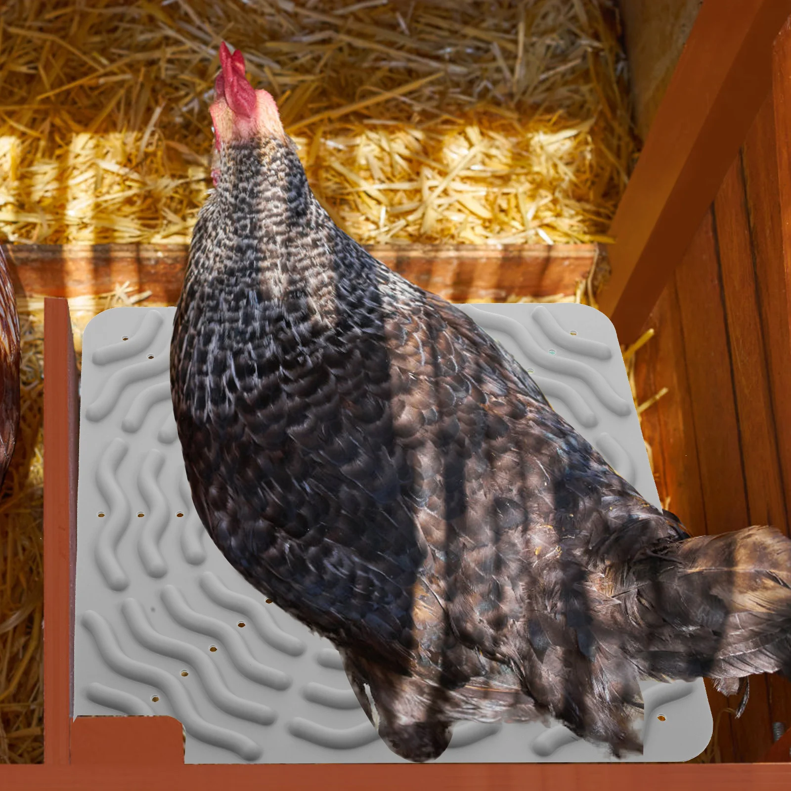 

Chicken Nesting Pad Silicone Material Resistant Coop Bedding Mat Easy Clean for Egg Protection Chicken Nesting Pads