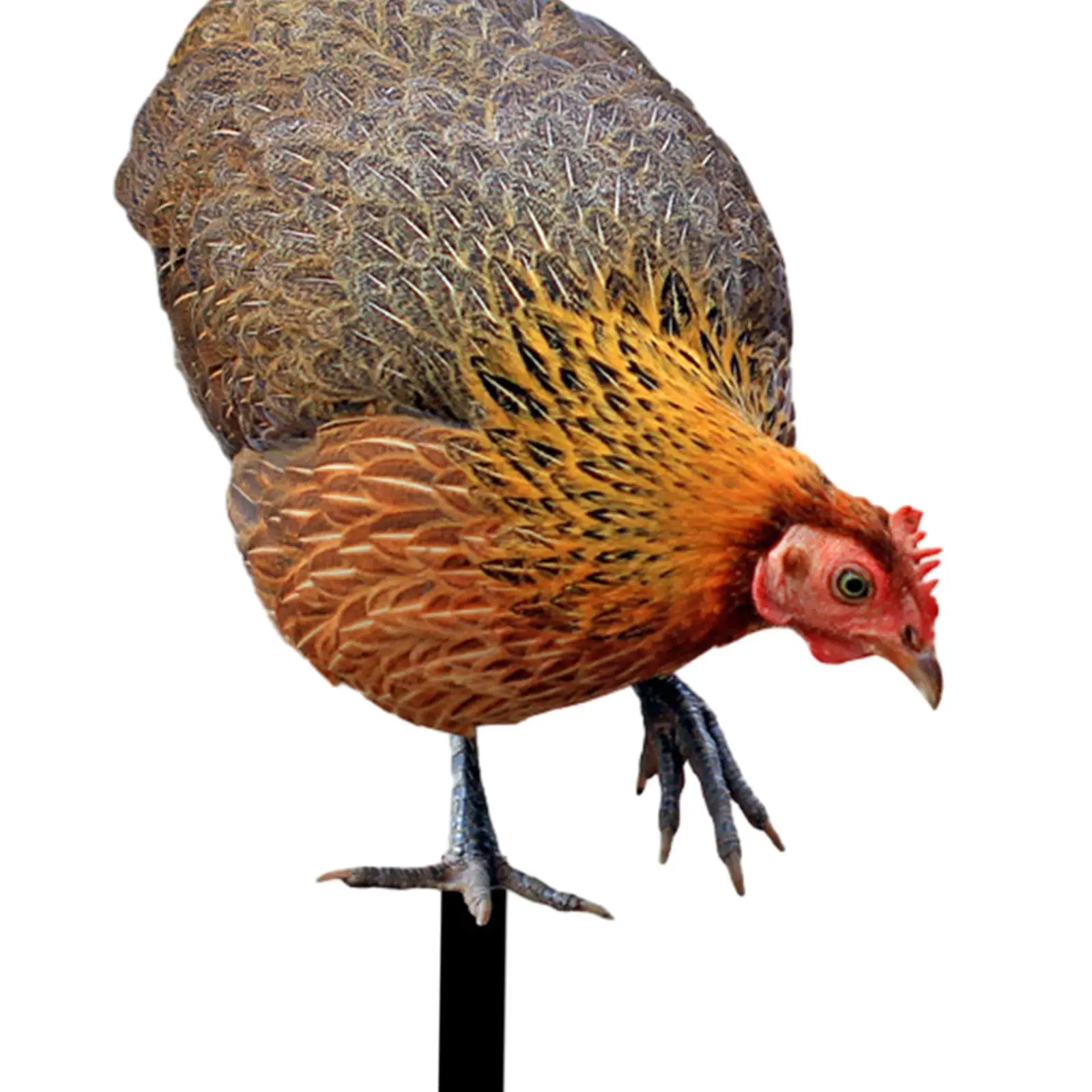 Realistic Chicken Sculpture Hen Decorative Ornaments Lifelike Animal Statue Stakes for Farm Courtyard Patio Lawn Yard Backyard