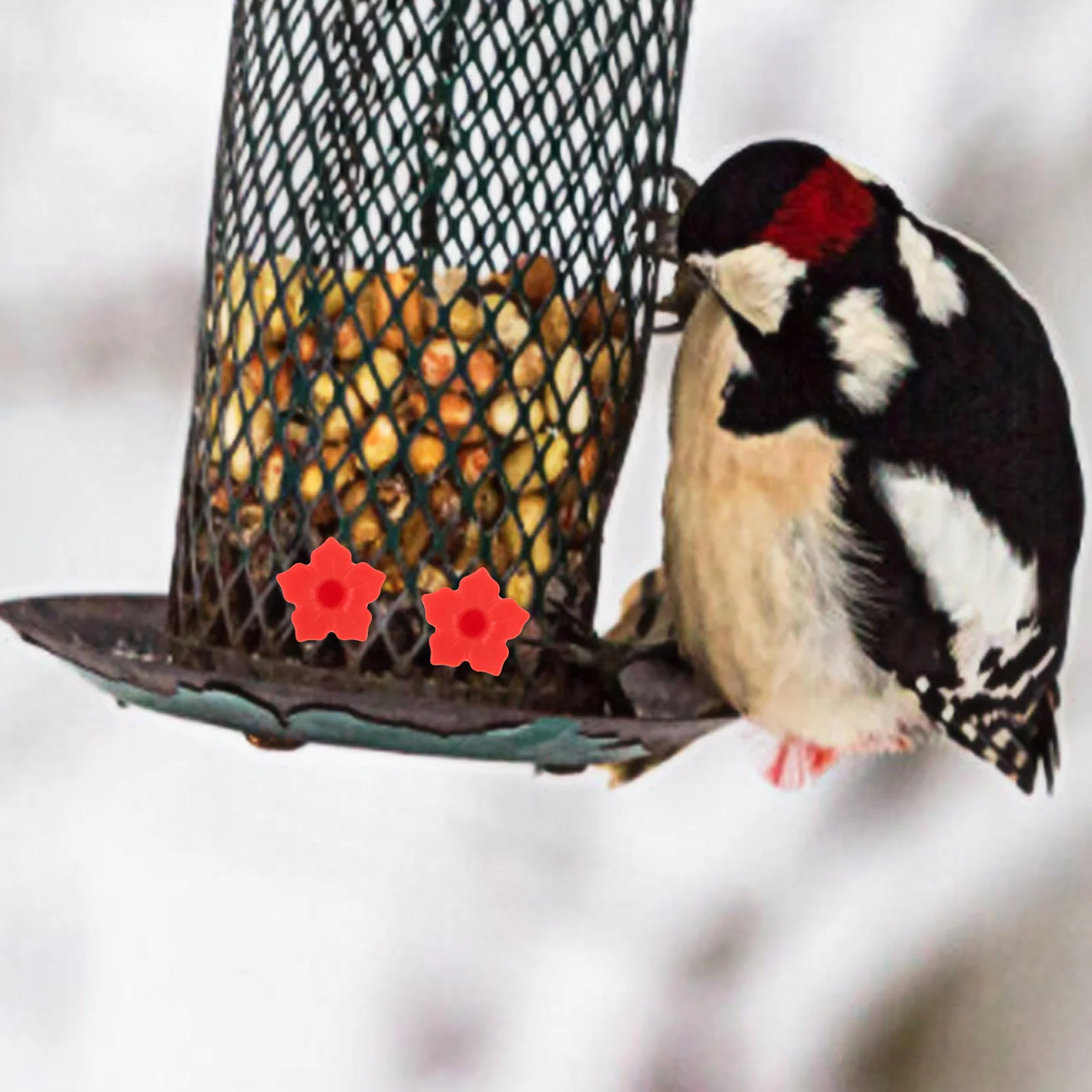 

10Pcs Decorative Flower Replacement Parts Bright Colorful Plastic Hummingbird Feeder Accessories Outdoor Bird Feeding Tools