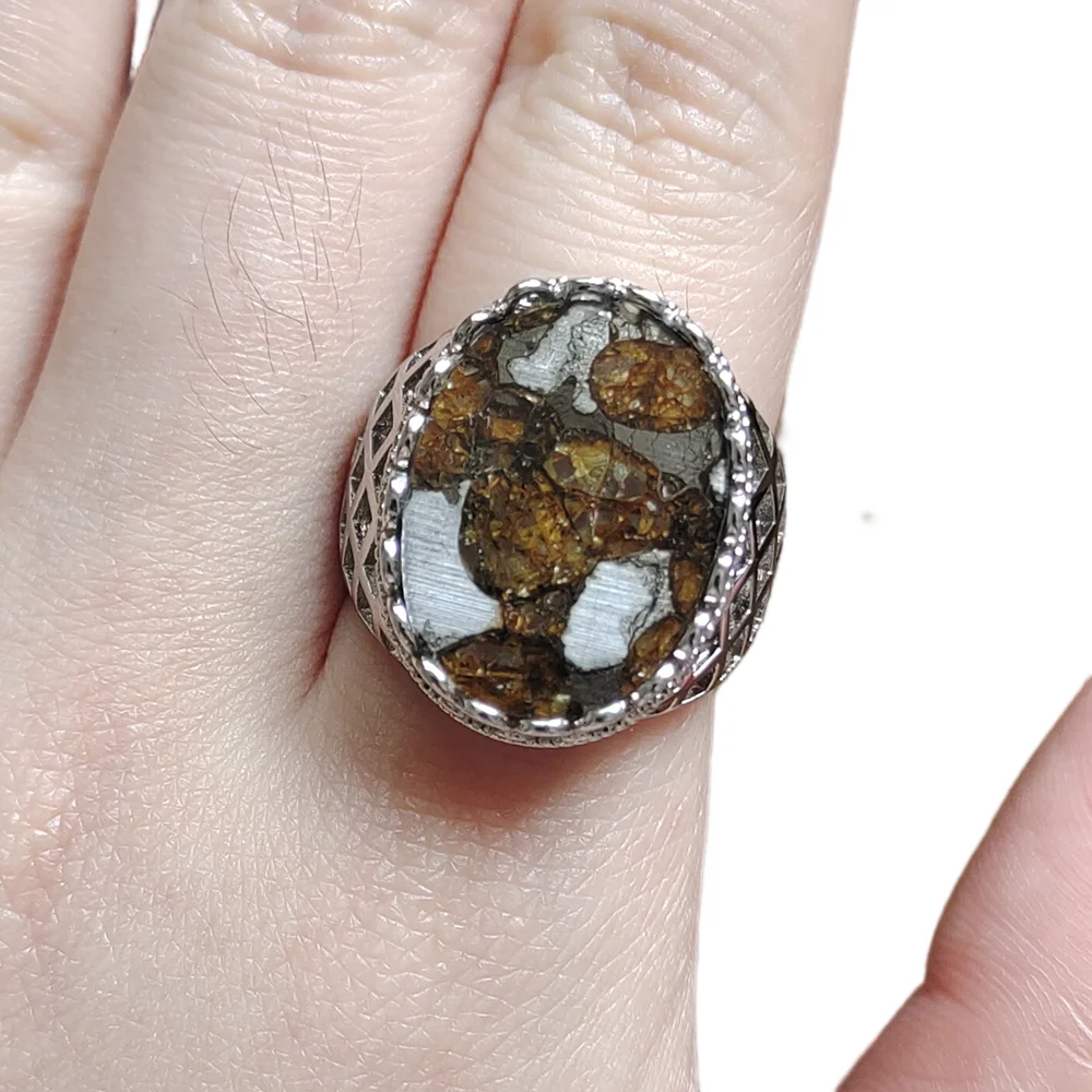 

Natural Meteorite S925 silver case Material Brenham Meteorite Ring Olive Meteorite Ring Jewelry Collection