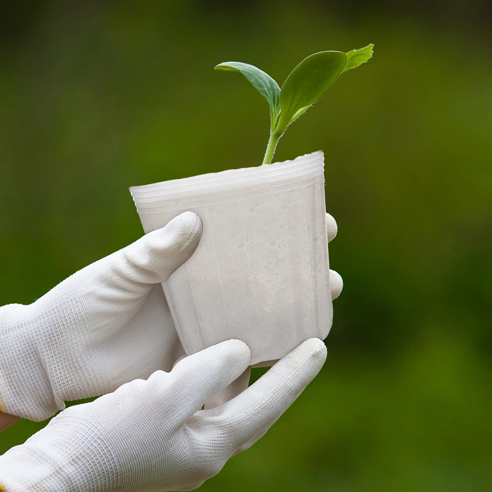 

40pcs Plant Nursery Pots Transparent Lightweight Small Starter Pots For Succulents Cuttings Transplanting Drainage Holes