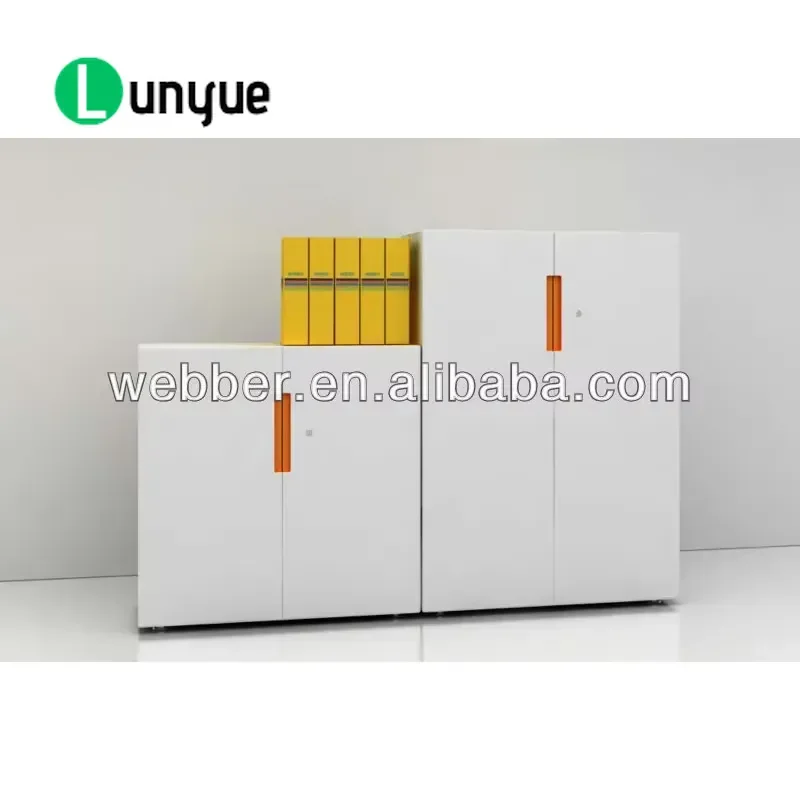 Steel Swing Door File Cabinet Office Storage Furniture Metal Document Organizer for Home Business Secure Locking Durable