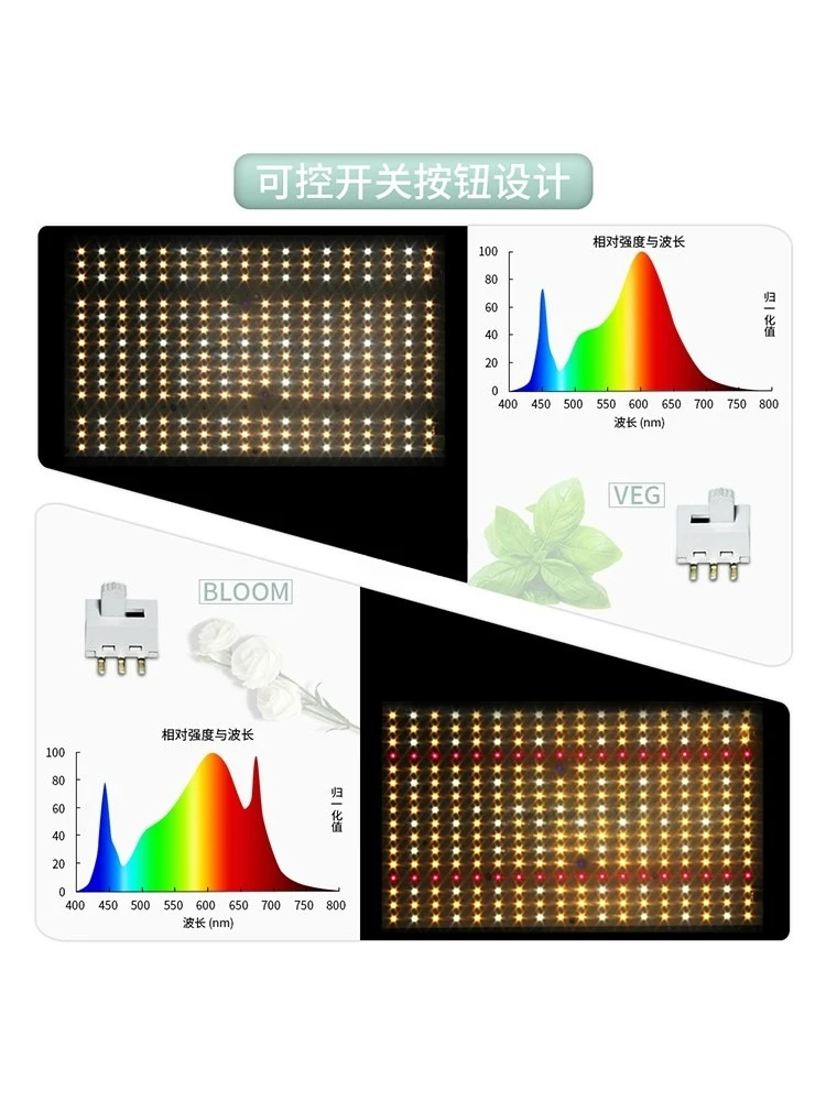 Lampada per la crescita delle piante, luce di riempimento succulenta, colorazione per la crescita ad alta potenza da 240 W