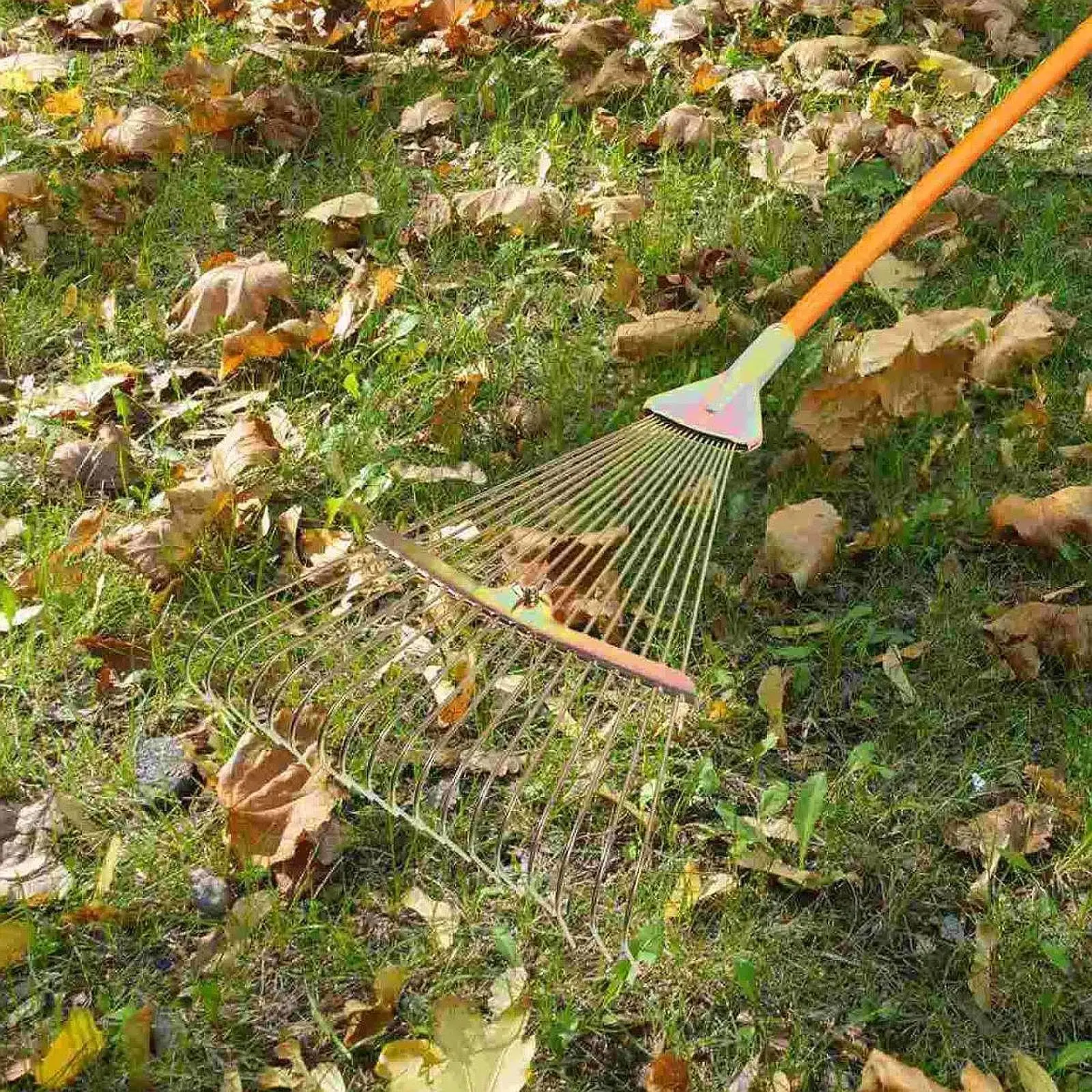 

Rake Head Replacement Head Reliable Accessories Effective Steel 18 Tines Heavy Duty for Grass Clippings Men Women Yard Shrub