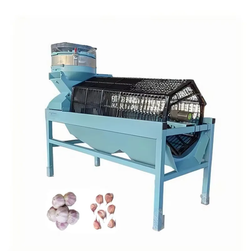 Stainless steel bulb separator, garlic peeling and felling machine without damage