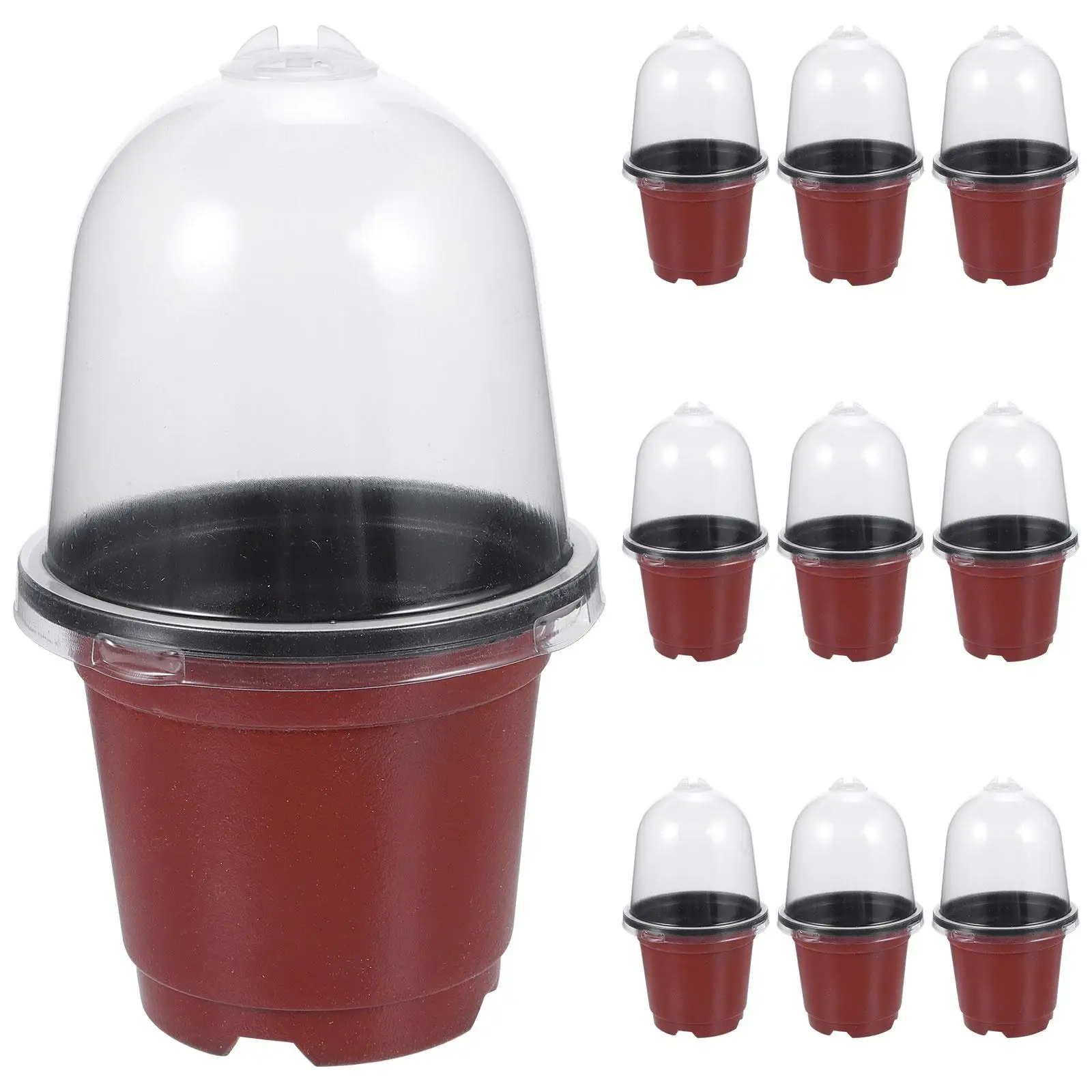 

10pcs Double Color Nursery Pots Clear Dome Succulent Planting Garden Flower Pot Starter Planter Bonsai Container Gardening Tool