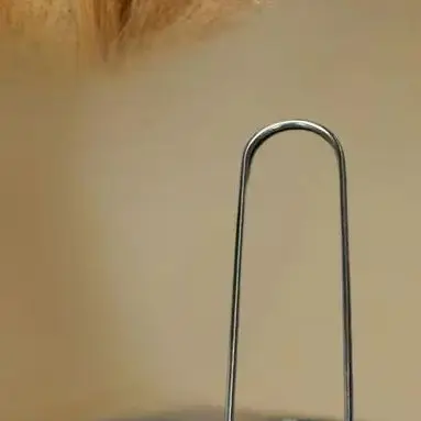 1 шт., нержавеющая сталь, фрукты, овощи, сердцевина, средство для удаления семян перца, кухонный гаджет для яблока, груши, томатного перца