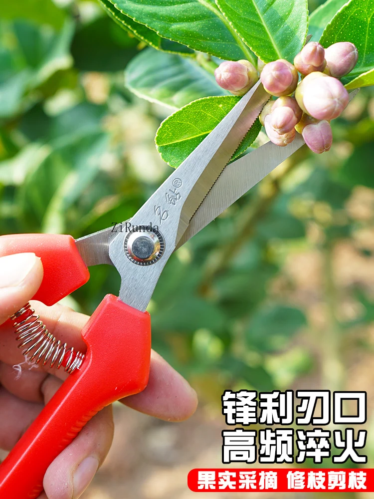 ~Household fruit picking scissors, scissors for picking oranges, special fruit pruning branches and flower pruning tools
