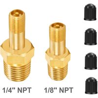Professional 1/4 NPT 1/8 NPT M10 Air Compressor Tanks Fill Valve Anti-Corrosion Brass Schrader Valve Automobile Tire Valve Core