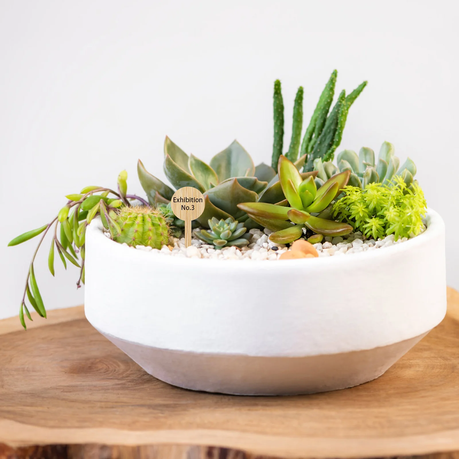 20 قطعة رشاقته الخيزران حديقة T شكل صديقة للبيئة الشتلات التسمية سهلة إدراج لون الخشب DIY بها بنفسك الكتابة