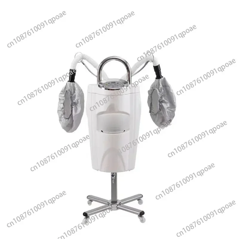 Hair Care Sprayer Hair Care Clubhouse Hairdressing SPA Baking Oil Machine Hair Care Instrument Negative Ion Nano Hydrating Steam
