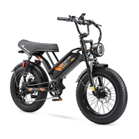 PURE UNICORN U5 Adult Electric Bike 1000W Motor Electric Bicycle 48V19.2Ah Battery Men's E-Mountain bike 20 Inch Fat Tire  Men's