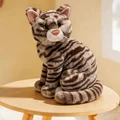 grey stripe cat sy