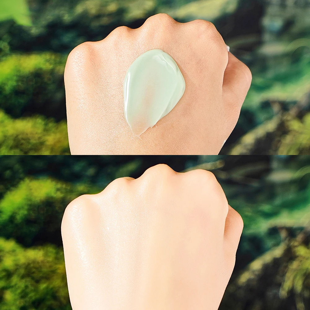 Centella Snow Grass Moisturizing Reservoir Cream Reduce Fine Lines Oil Control Brighten Improve Dry Rough Face Cream Skincare