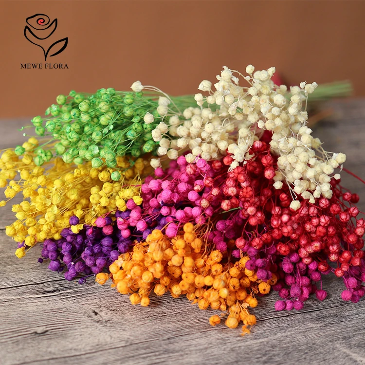 

50g Natural Preserved Flowers Acacia Bean Wedding Table Decoration Artificial Flower Christmas Decor DIY Making Craft Accessorie