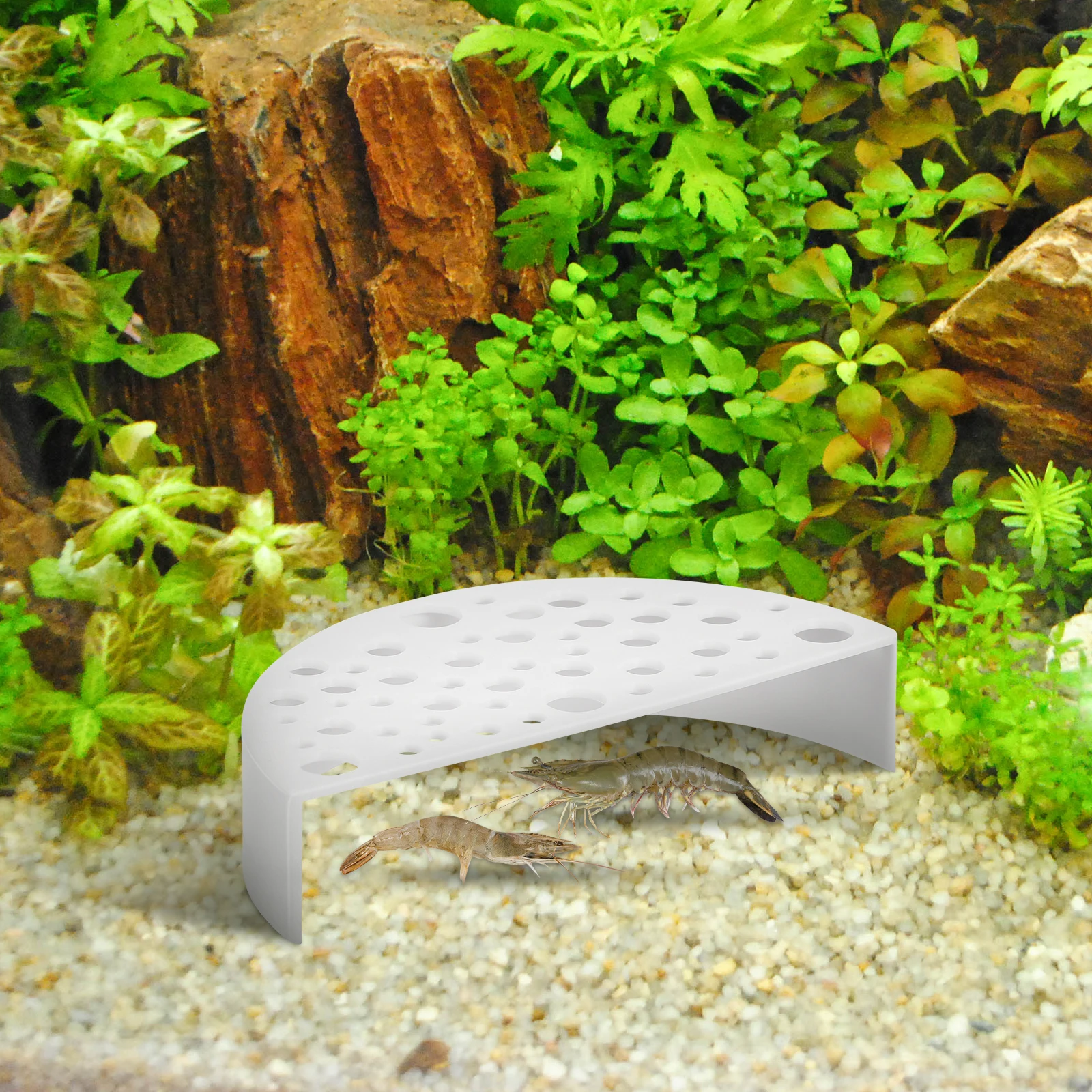

2Pcs Shrimp Farming Protectors Comfortable Habitat Breeding Shelter Easy Clean Aquarium Cave Hides Decorative Pet Supplies