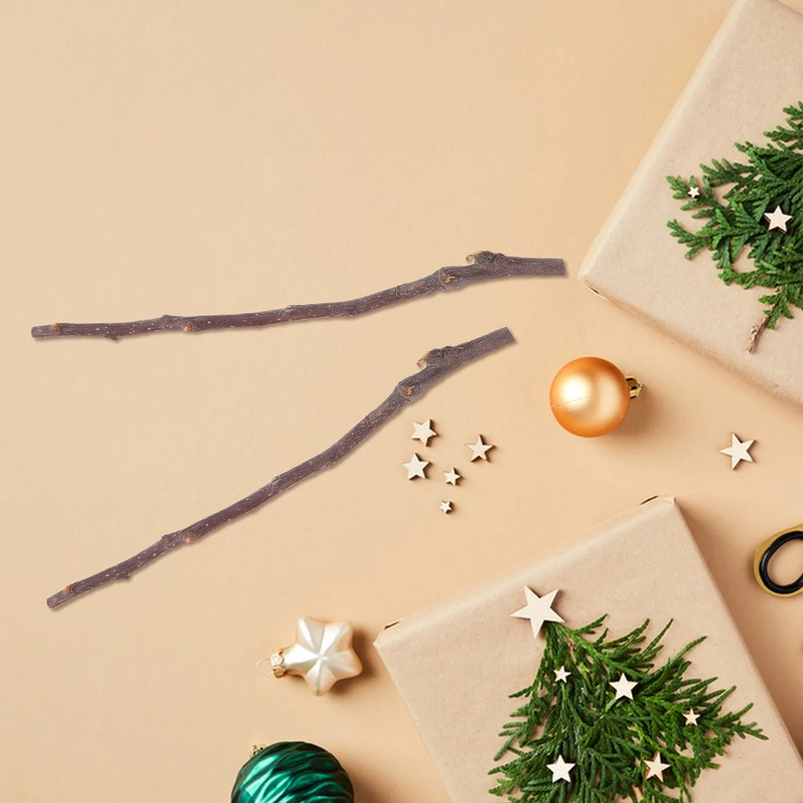 

50Pcs Natural Birch Wood Log Sticks Rustic Dry Branches for Crafts Home Wedding Party Photo Props Decorations Craft Twigs Sticks