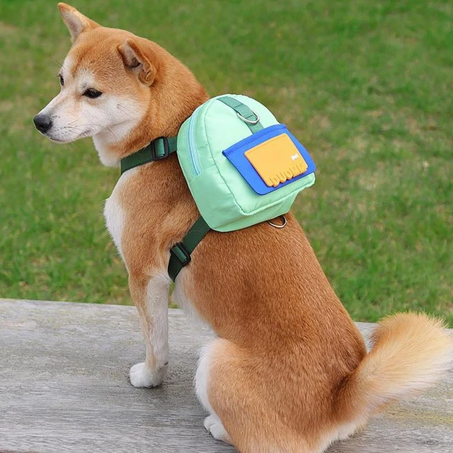 Shops golden retriever in backpack