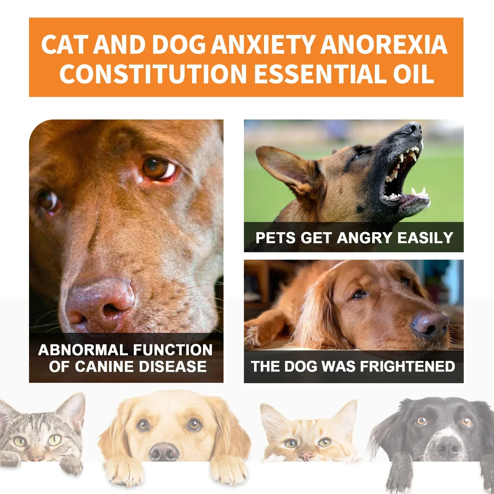 Gouttes apaisantes organiques naturelles, mélange de soulagement de l'anxiété des animaux de compagnie, huile essentielle pour chiens et chats, crée une expérience sans l'anxiété, santé de la peau