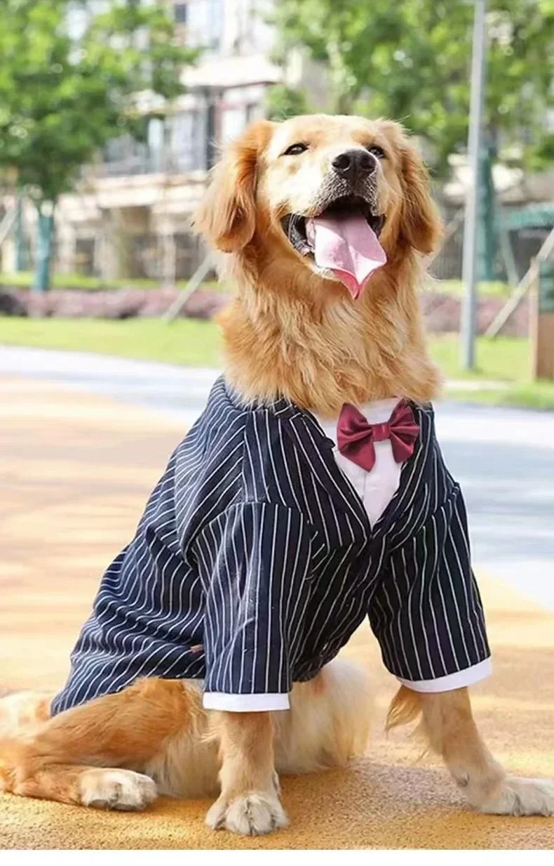 

Tuxedo for Dogs Stripe Big Dog Suit Wedding Golden Retriever Husky Large Dog Clothes 241212