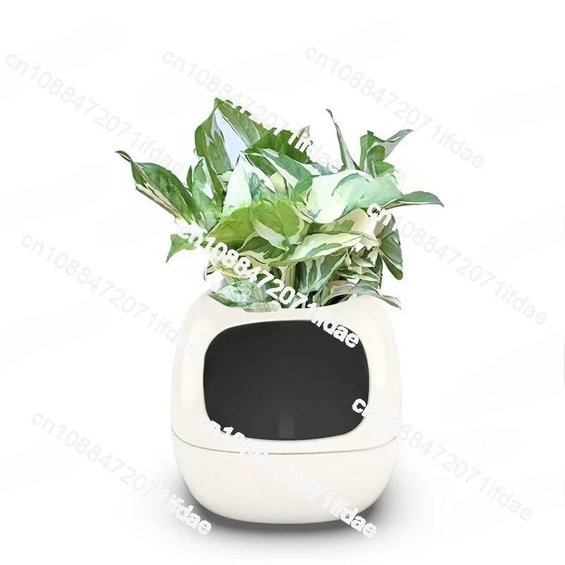 New Smart and Cute Pet Pet Pot Ivy Table Top Green Plants Let Your Plants Express Emotions