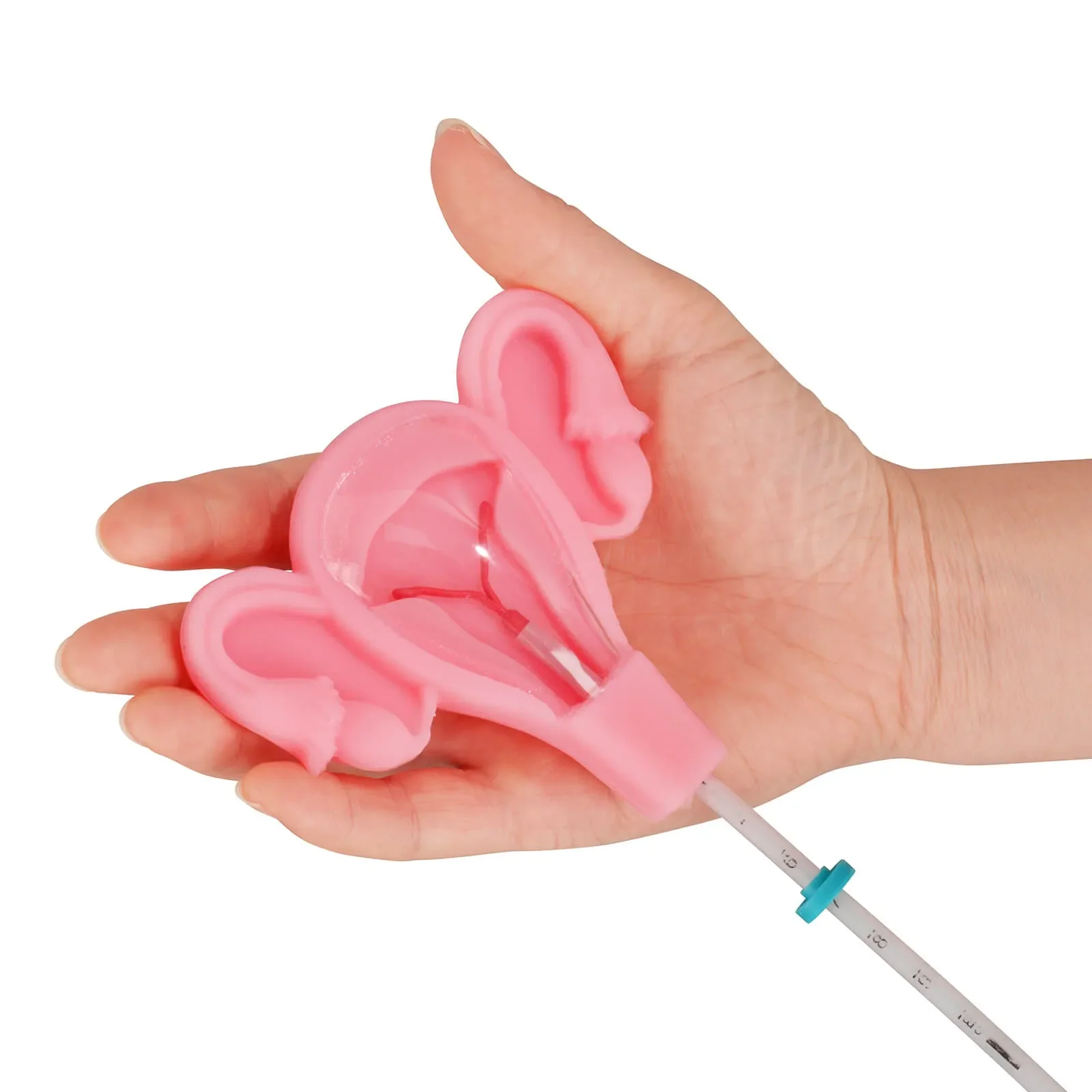 Silicone IUD Placement Training Model Medical Simulation Educational Tool for Intrauterine Device Insertion Practice