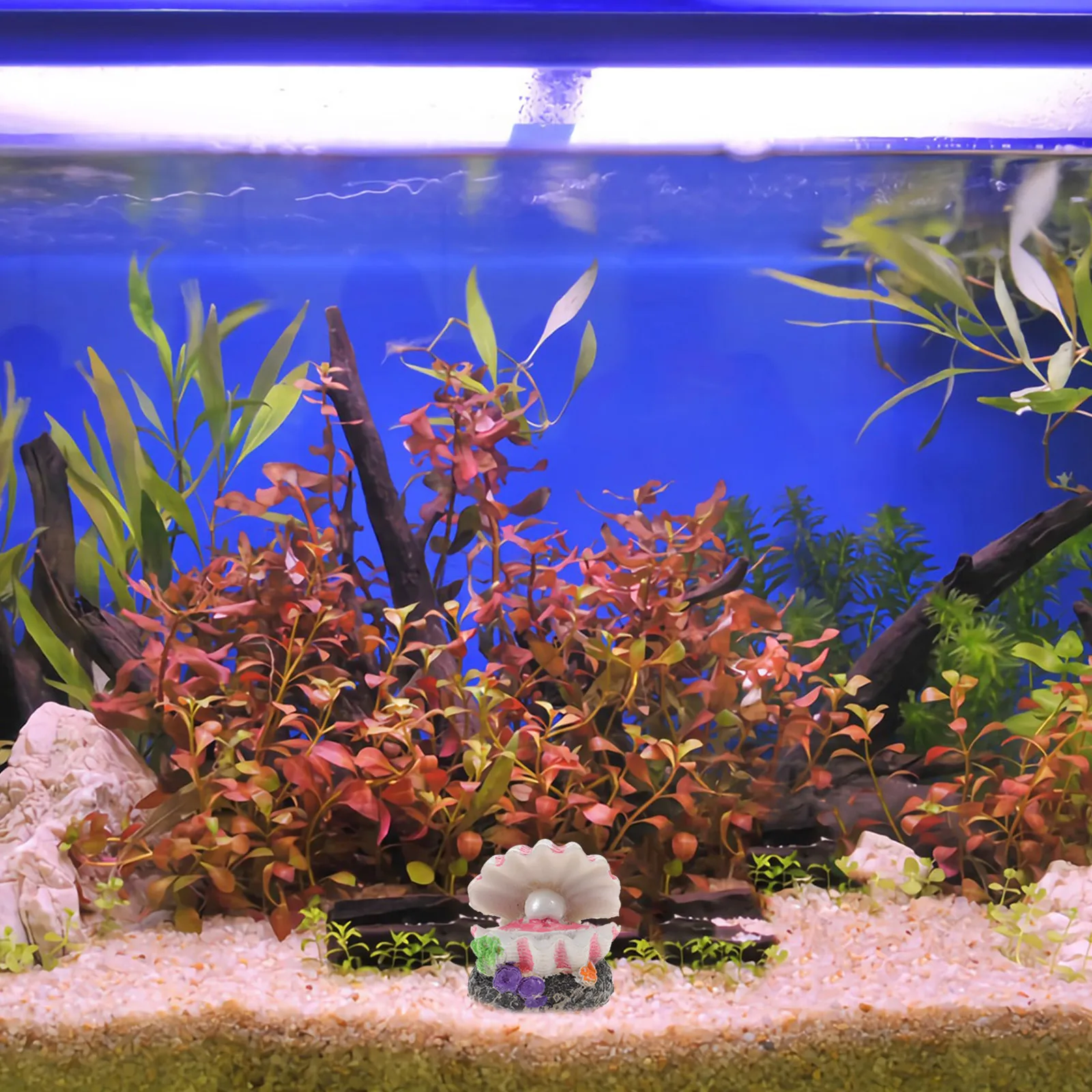 1Pcs Sea Shell Shaped Air Bubble Stone Bubble Pearl Shell Aquarium Decor Resin Fish Tank Ornament Bubbling Landscape Effect No