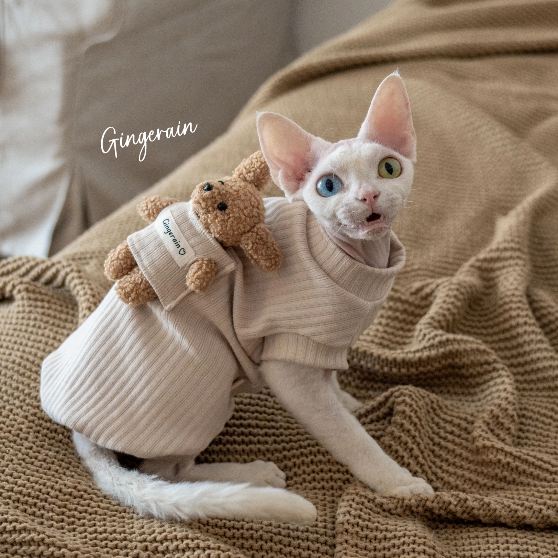 Cotton Coat Sewing Bear Doll for Sphynx Cat Winter Long Sleeves Soft Coffee Sweatshirt For Devon Rex Cartoon T-shirt For Cat