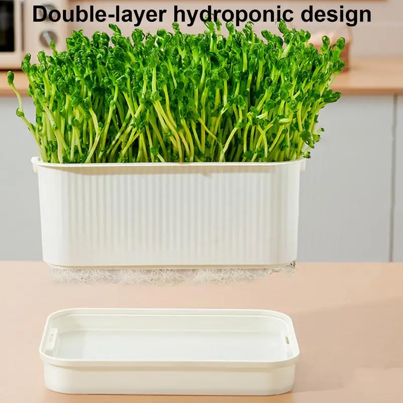 Germination Tray For Sprouts Hydroponic Tray Environmentally Friendly Soilless Cultivation Container Mung Bean Sprout Planting