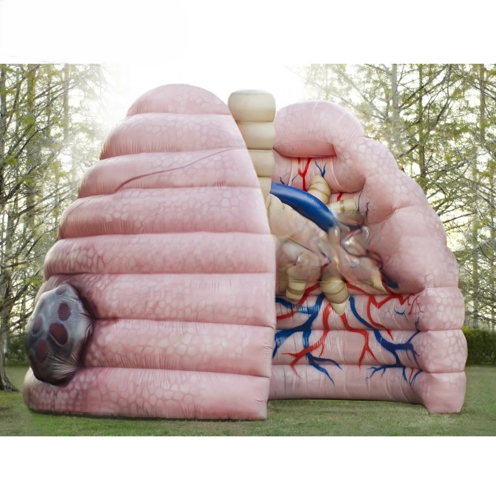 Model School Giant Inflatable Lung  Teaching Demonstrating Human Organs Ballooning Medical Activity