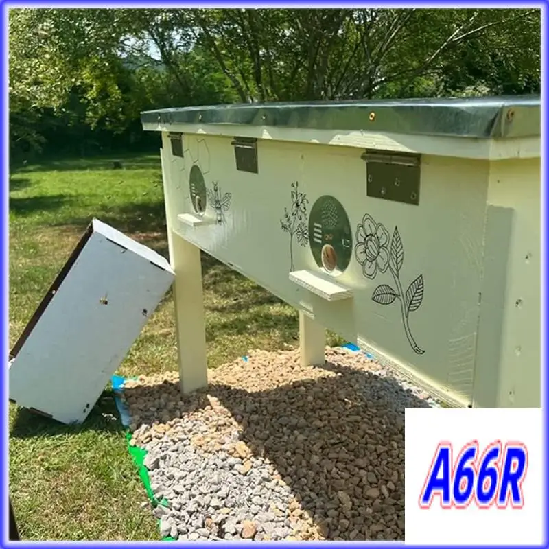 

RR-10PCS Hive Nut Box Entrance Door Hive Beekeeping Tools Entrance Tray (Diameter: 12.5 Cm)