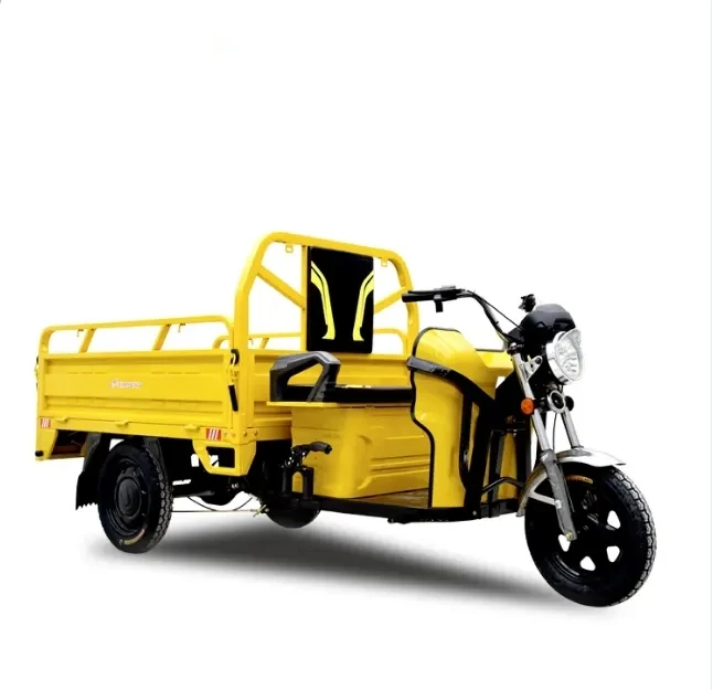 

3 Wheel Electric Bike Cargo Tricycle with Multiple Color Options in stock