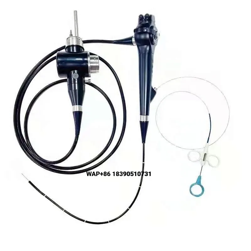 Veterinary high definition large and small animal veterinary endoscopes Integrated light source and video veterinary gastroscopy