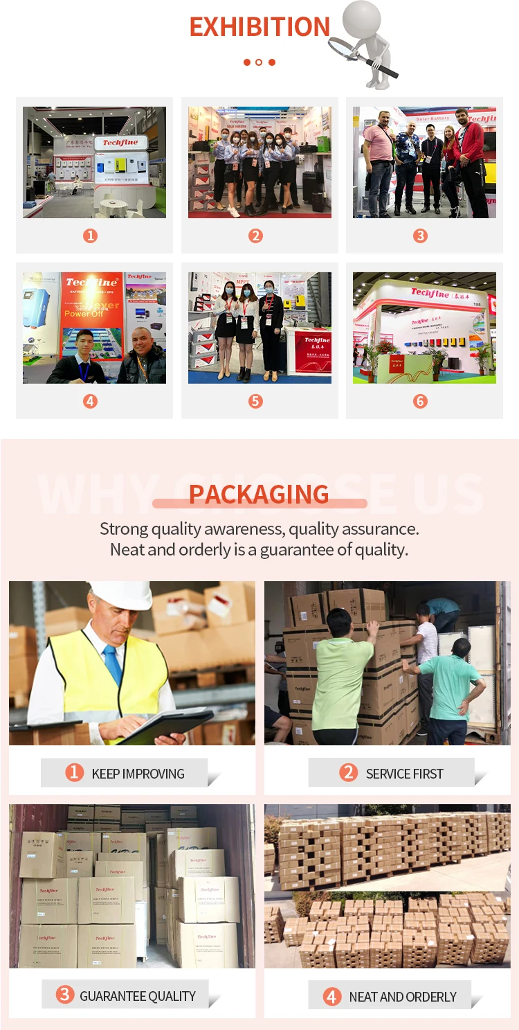 Techfine Make 12V 1300VA 1kw 220V Low Frequency Solar Inverter With in Build Controller 60A High Charging Efficiency OEM