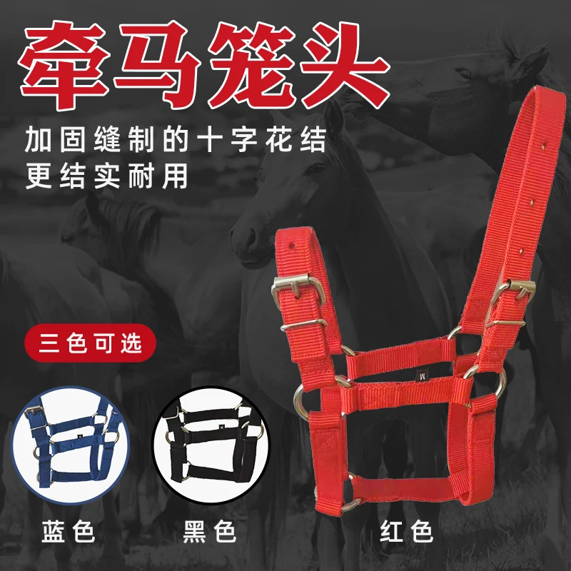 Horse Harness Equestrian Supplies Traction Horse Faucet Cage Set Horse Faucet Electroplating Needle Roller Buckle Horse Rope