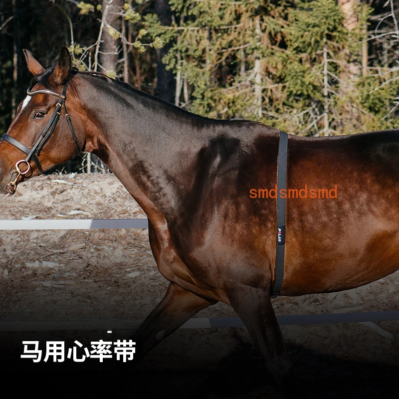 

Оборудование для измерения сердечного ритма животных