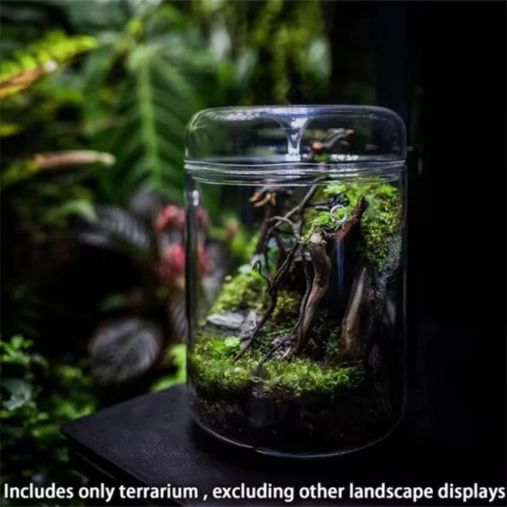 Микроландшафтная стеклянная ва – обзор и цена Terrarium Glass Bottle