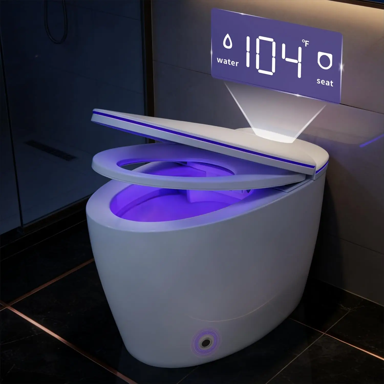 

Luxury Smart Toilet, 1000 Gram MaP Flush Score, Auto Open/Close Lid, Heated Seat, Warm Water Wash & Dryer,Elongated, Custom