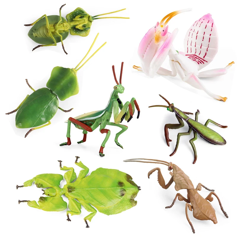 Simulation Animal Praying Mantis Models Prayer Bug Insect Ornaments Miniature Educational Collecta Figurines Toys for Kids Gift