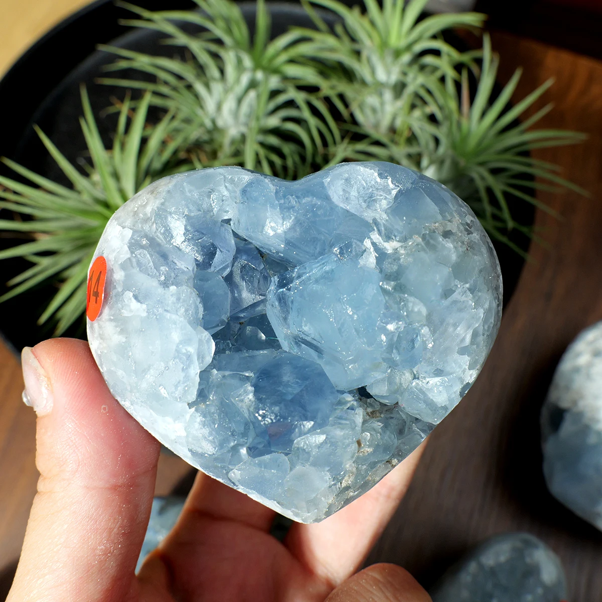 1pc High Quality Natural Rough Stone Healing Gemstone Blue Celestite Cluster Raw Geode for Meditation