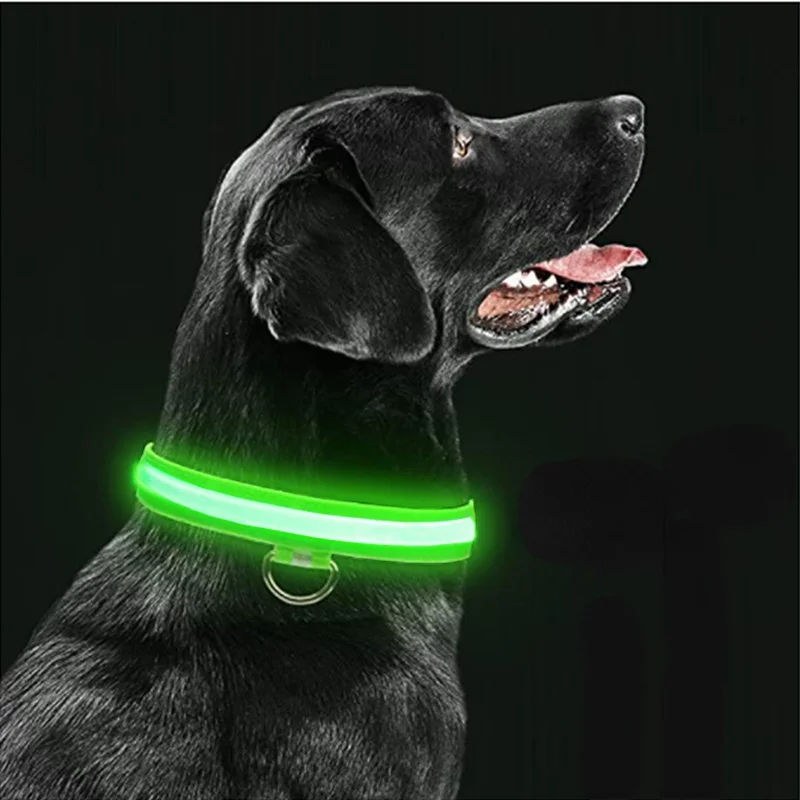 Diodo emissor de luz brilhante coleira de cão ajustável piscando rechargea luminous collar noite anti-lost cão luz arraissfor pequeno cão produtos