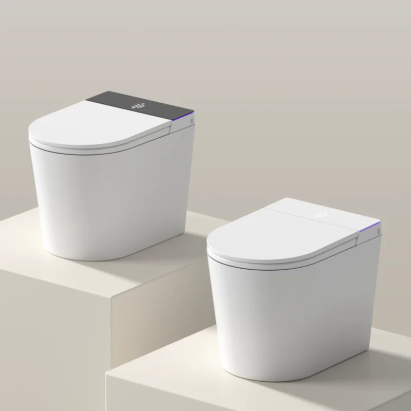 

Modern Smart One-Piece Ceramic Toilet Dual-Flush Remote Control Floor-Mounted Installation Seat Heating Easy Clean Hotel