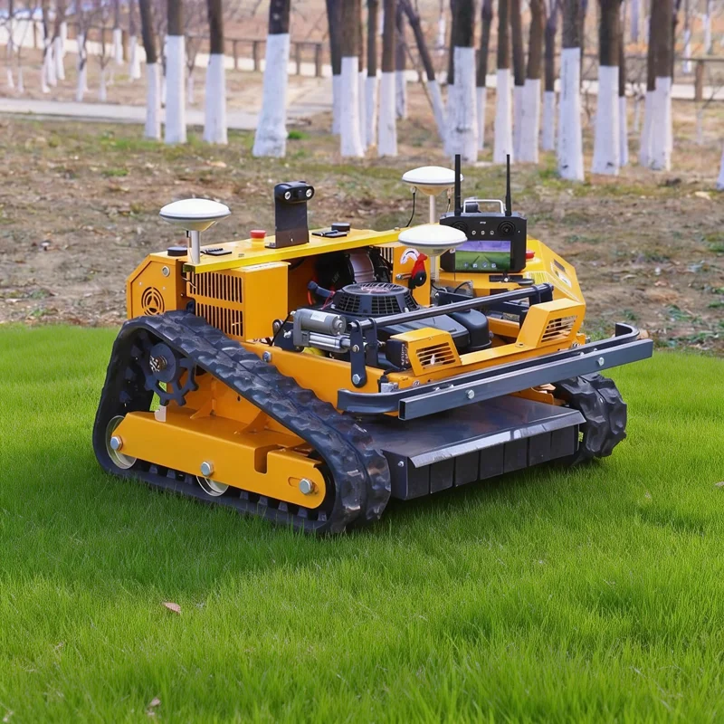 Customized Intellig…