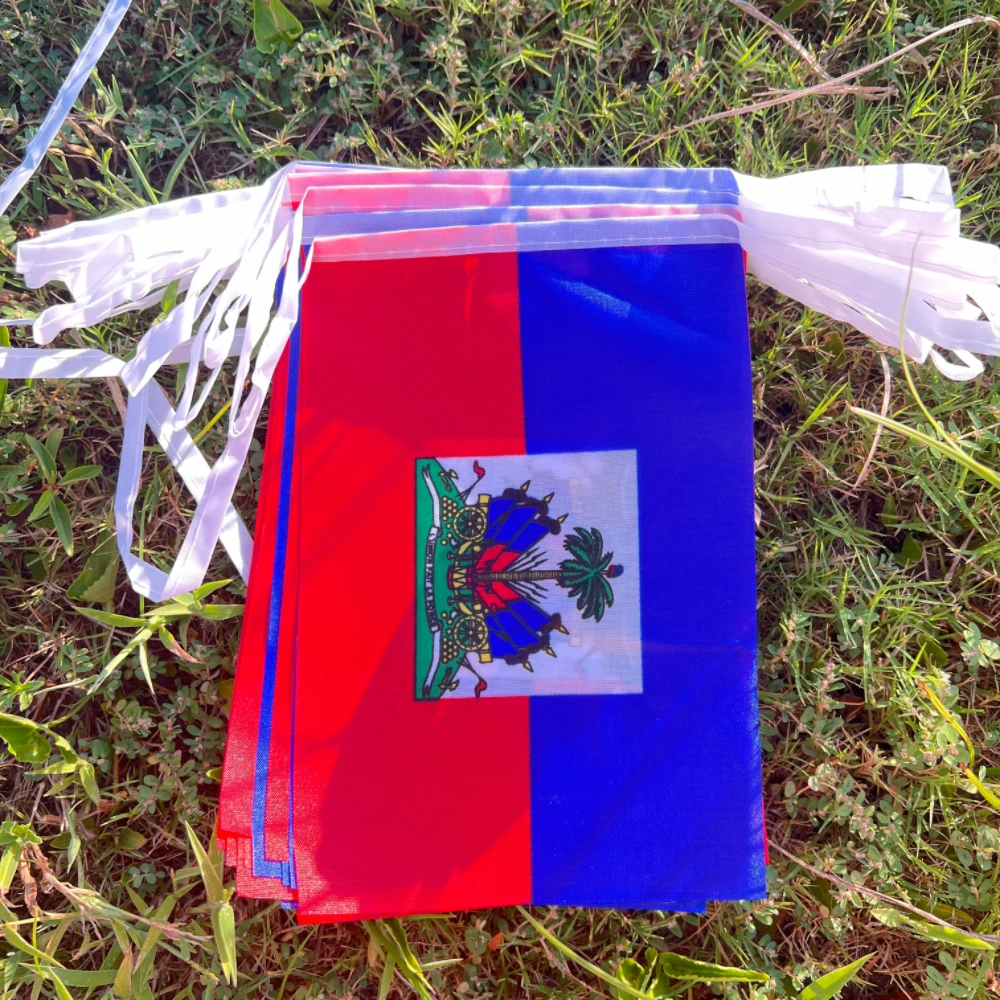 هايتي العلم 14x21cm20pcs/set، معلقة البوليستر الأزرق الأحمر 2 الجانبين المطبوعة العلم الوطني هايتي الرياضة راية #5