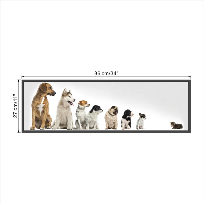 Funny Dogs Cat Pvc Photo Frame Wall Art Stickers For Office Home Decoration Animal Vivid 3d Puppy Kids Room Creative Wall Decal